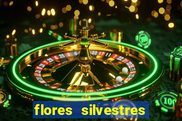 flores silvestres desbravadores desbravadores 25